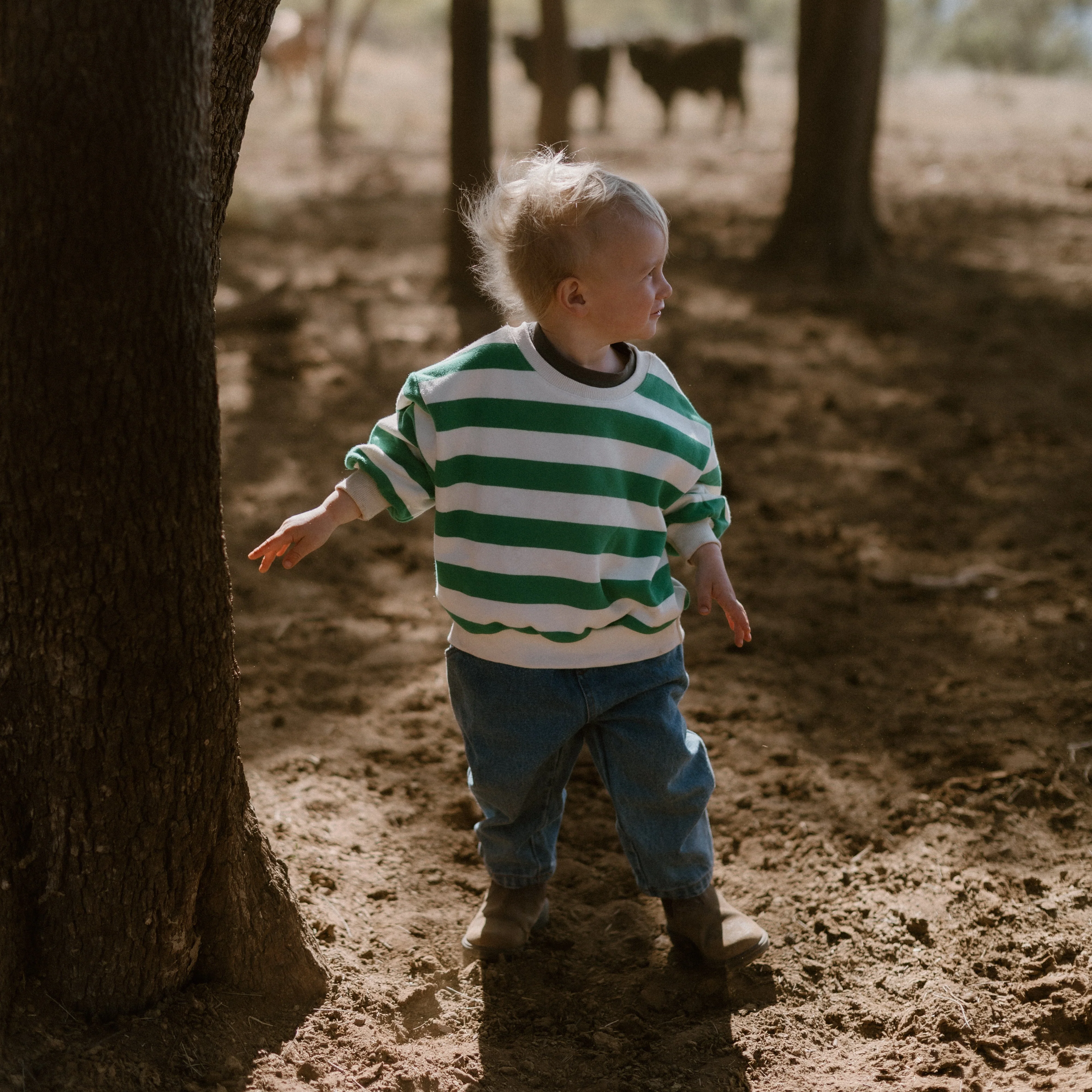 Clove Stripe Sweater