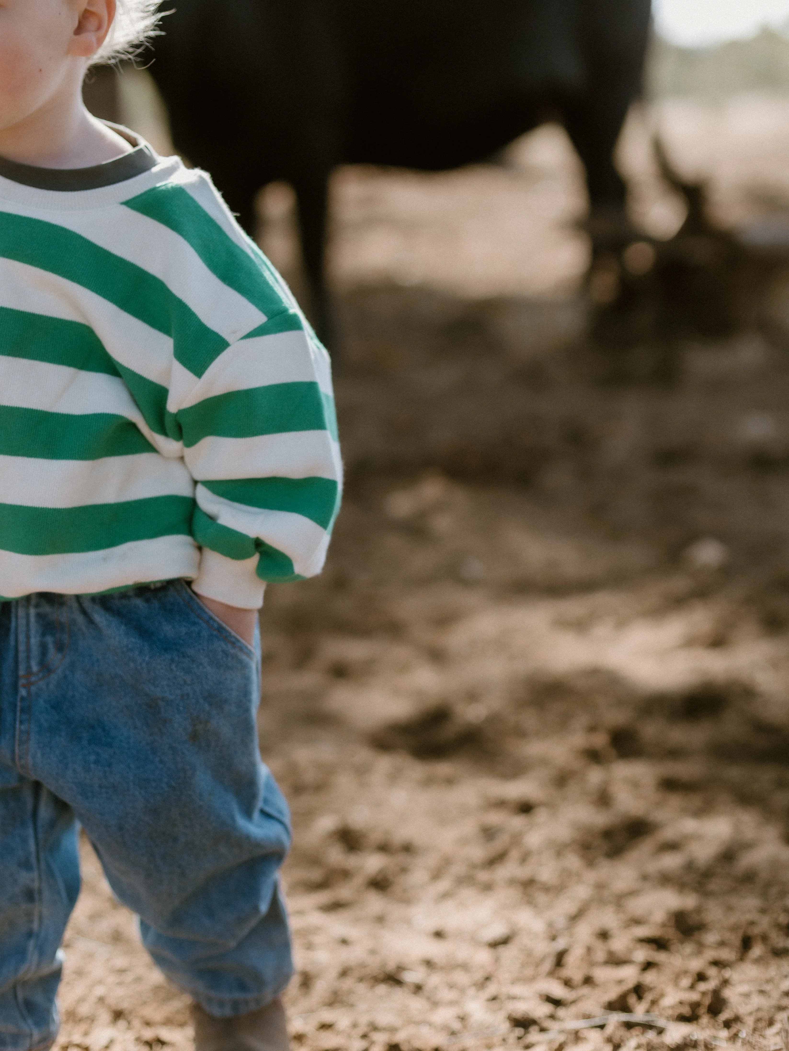 Clove Stripe Sweater - Image 9