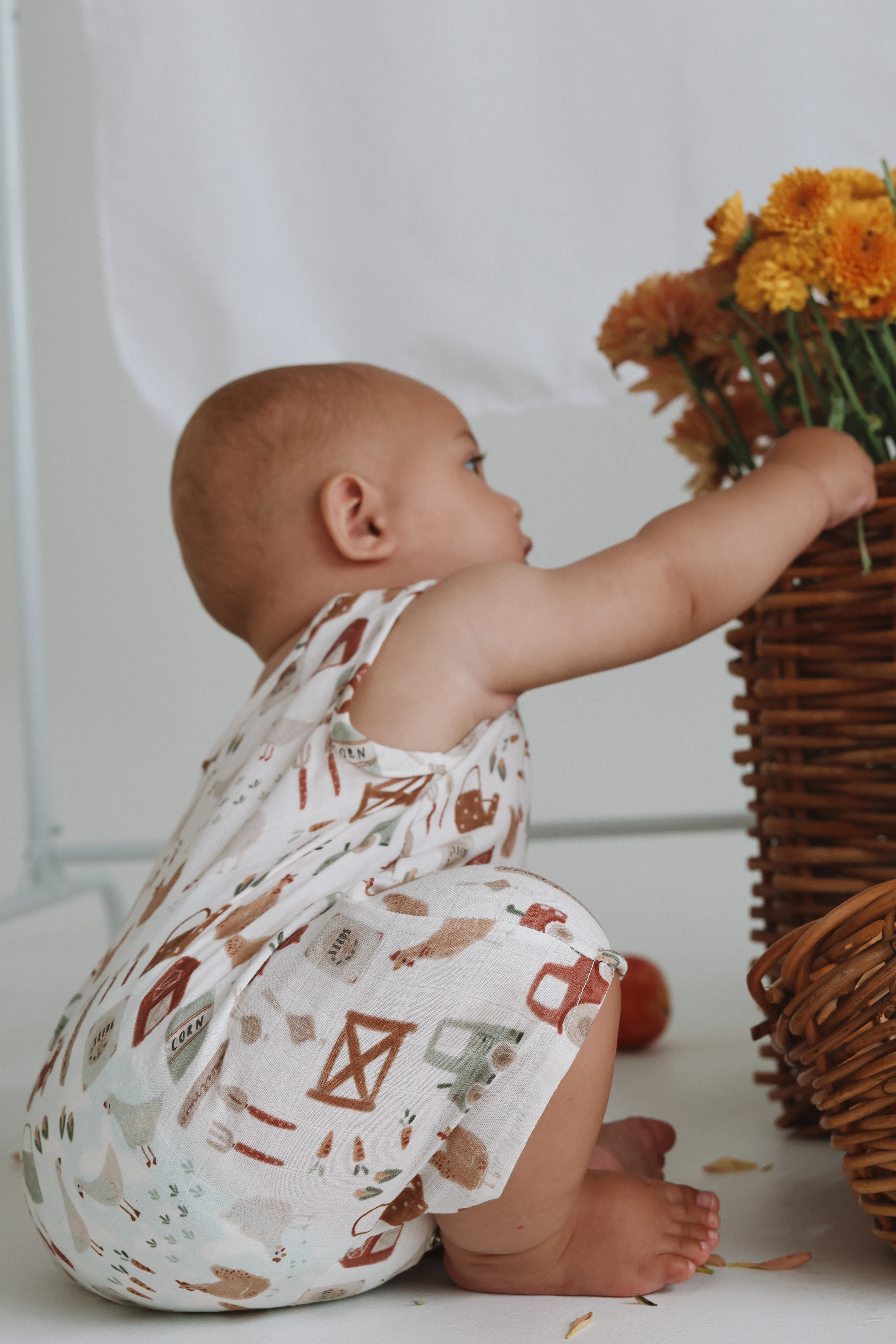 Little Homestead Playsuit - Image 3