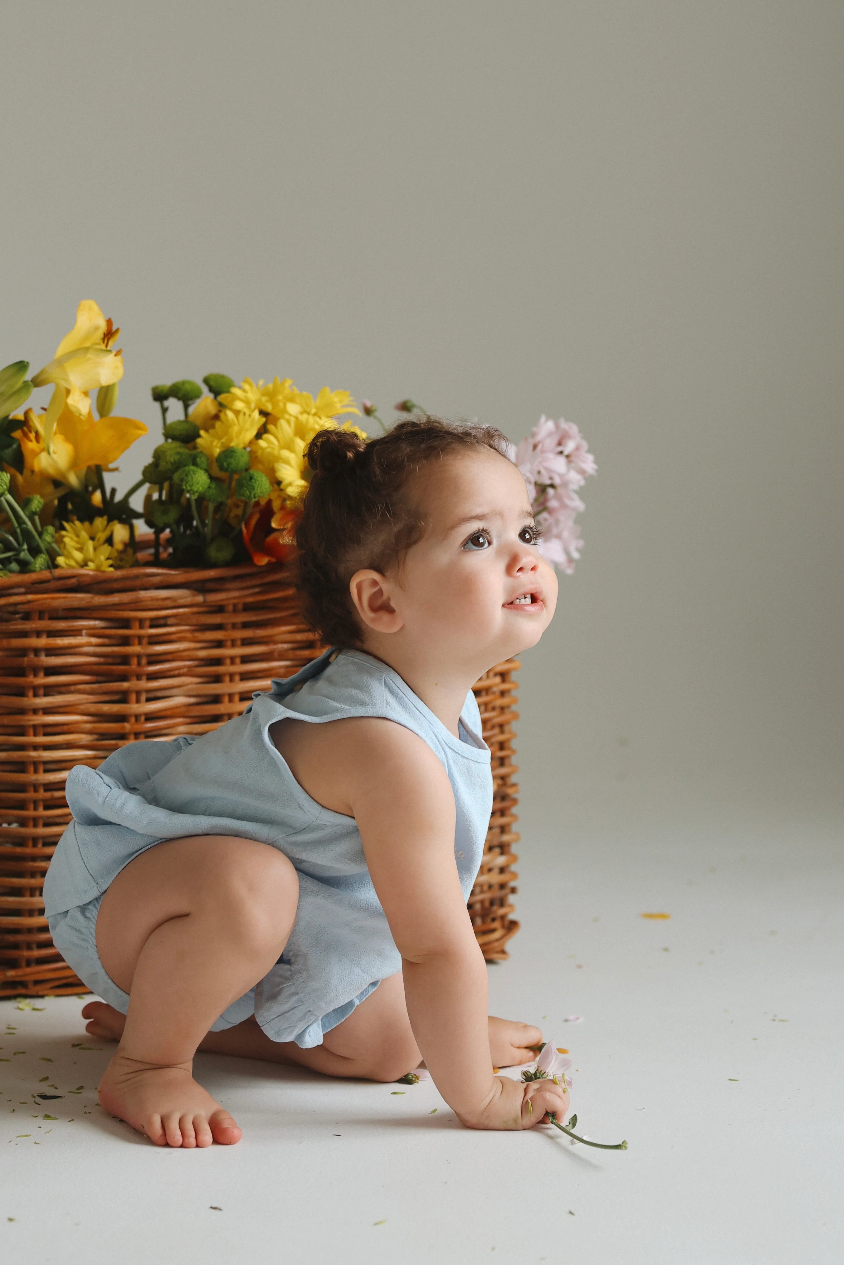 The Fern Bloomer - Sky - Image 9