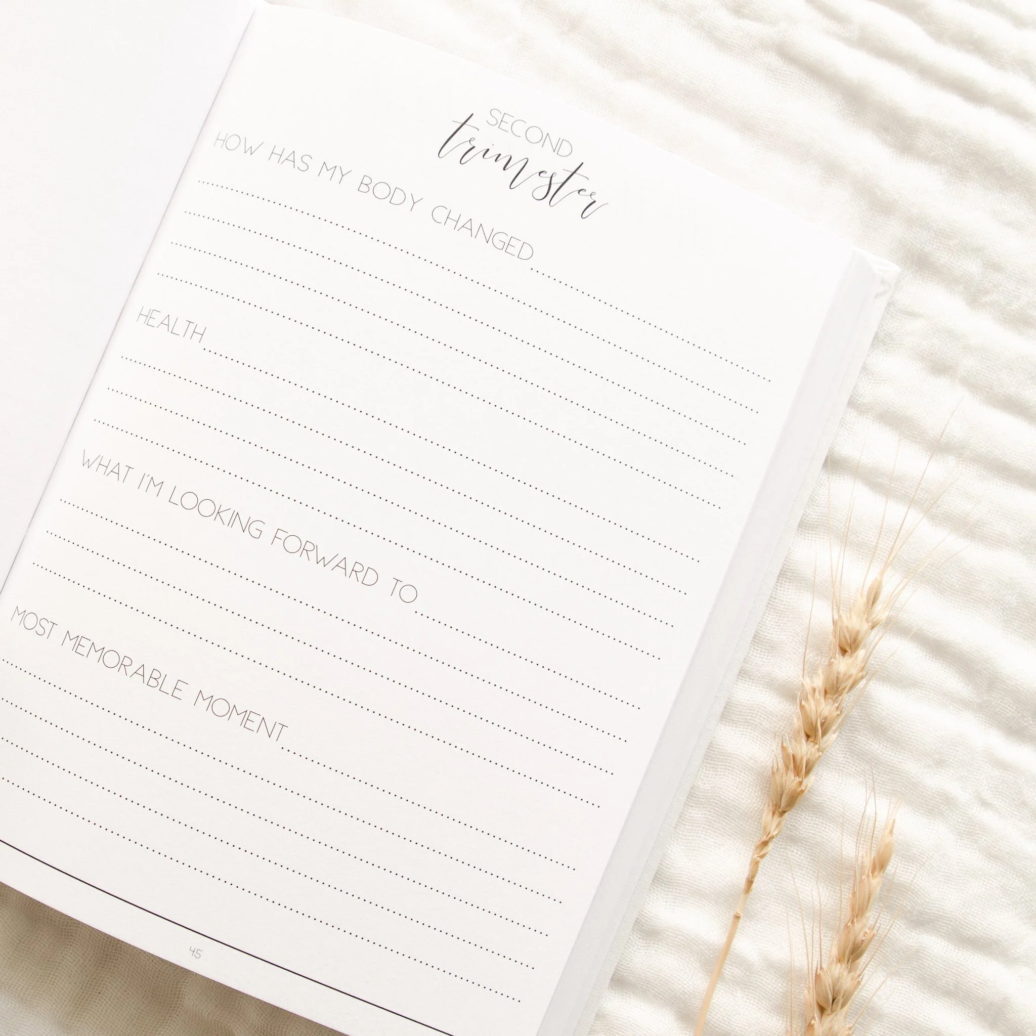 Hello Little Mama - Pregnancy Journal - Image 11