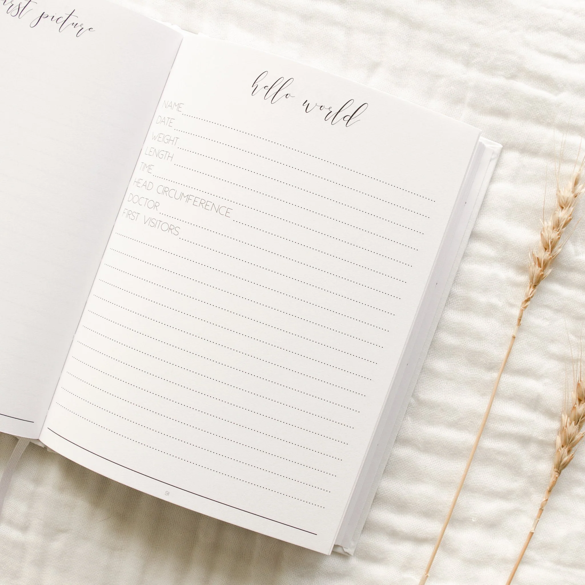 Hello Little Mama - Pregnancy Journal - Image 16