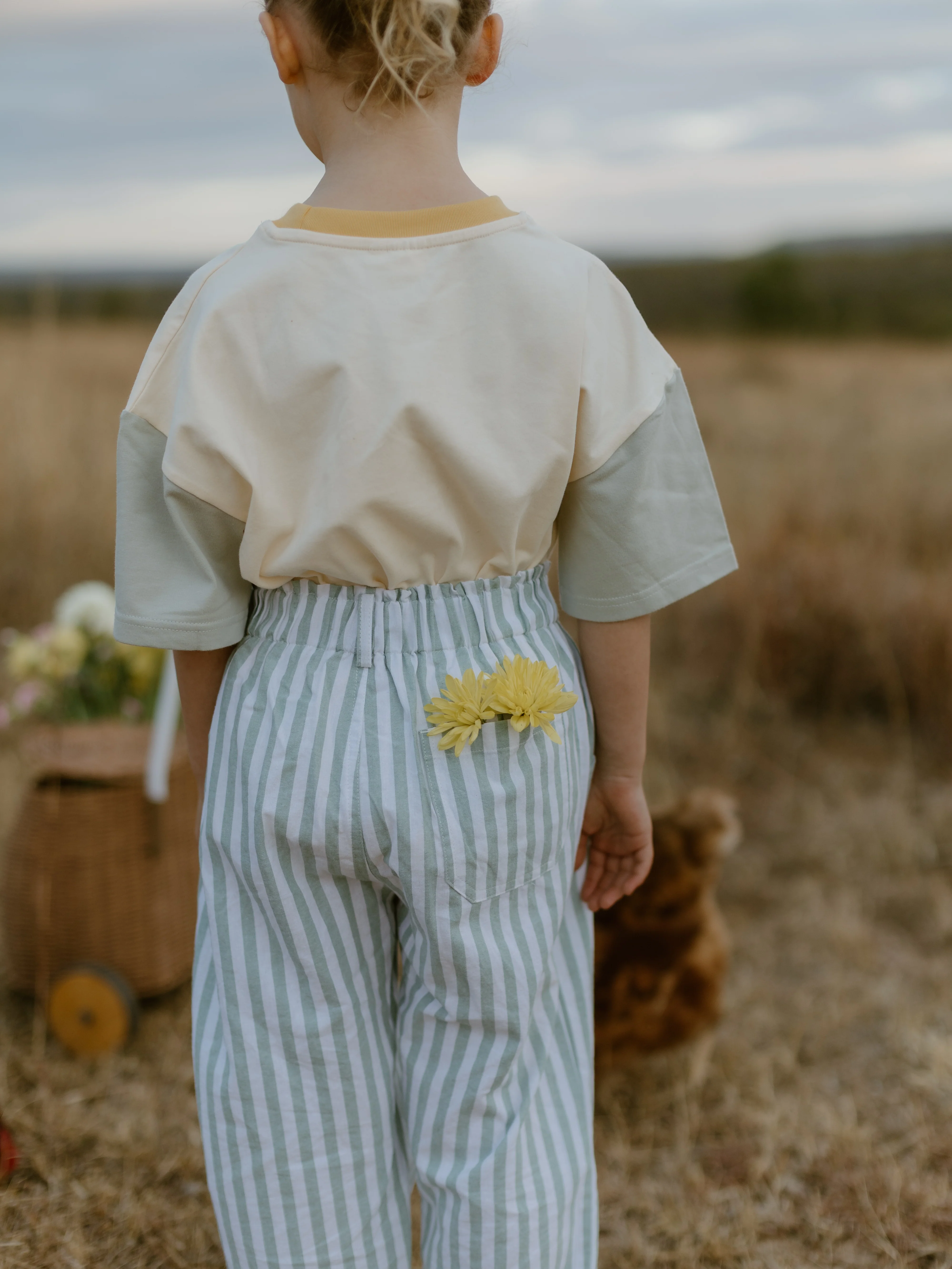 Kids Sage Stripe Pants - Image 7