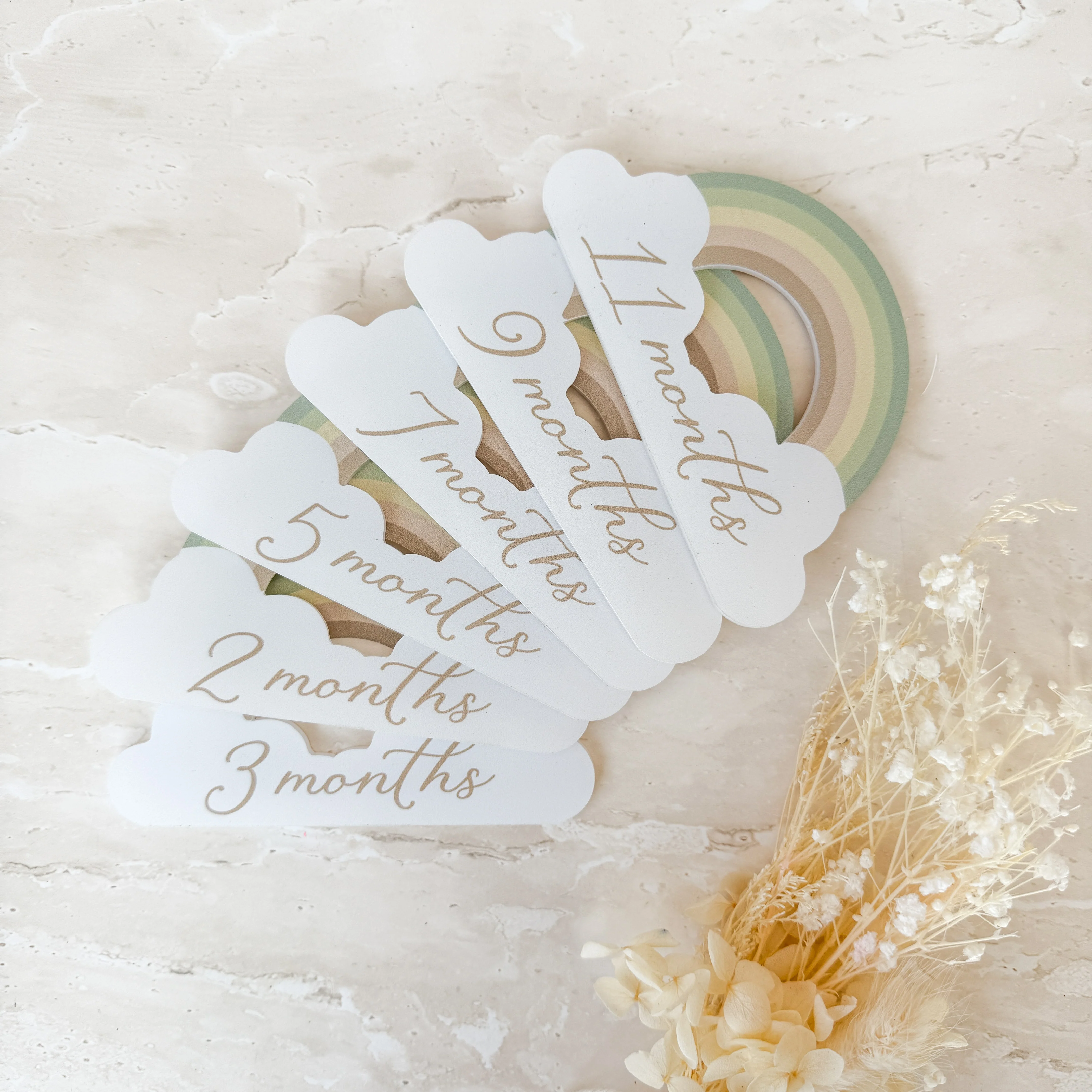 Rainbow Baby Milestone Collection - Image 3