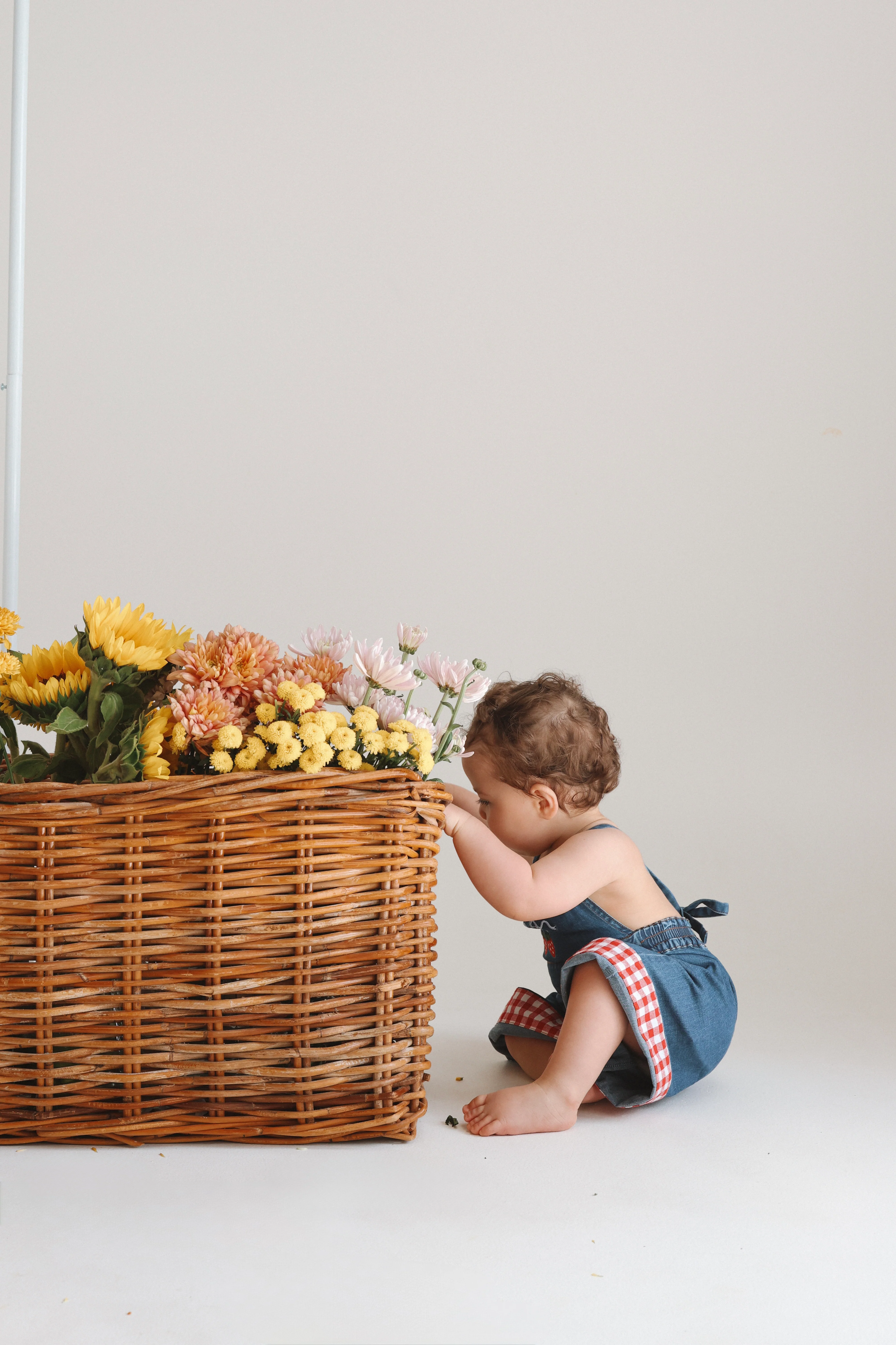 Strawberry Picnic Denim Jumpsuit - Image 18