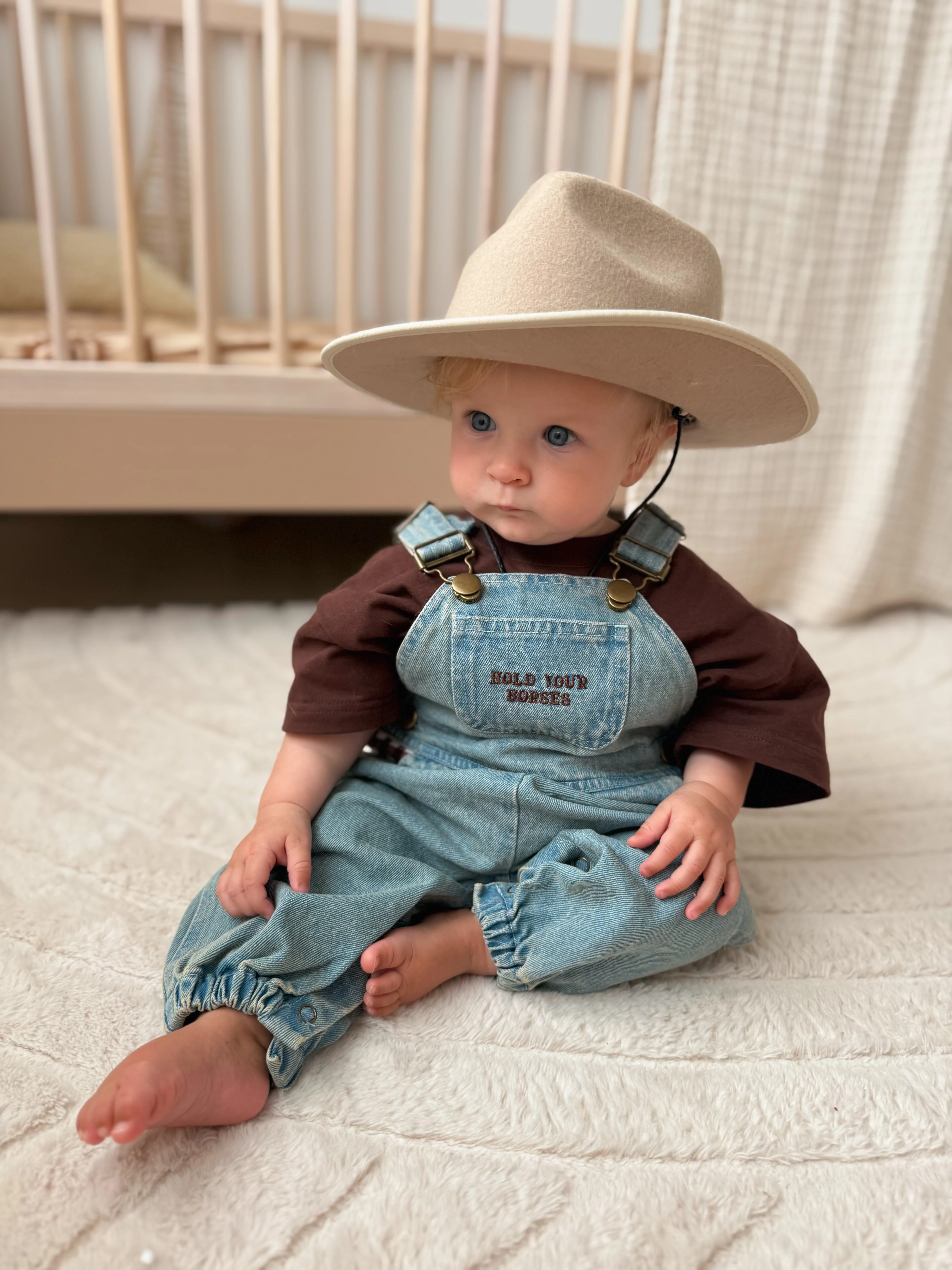 'Hold Your Horses' Denim Overalls - Image 3